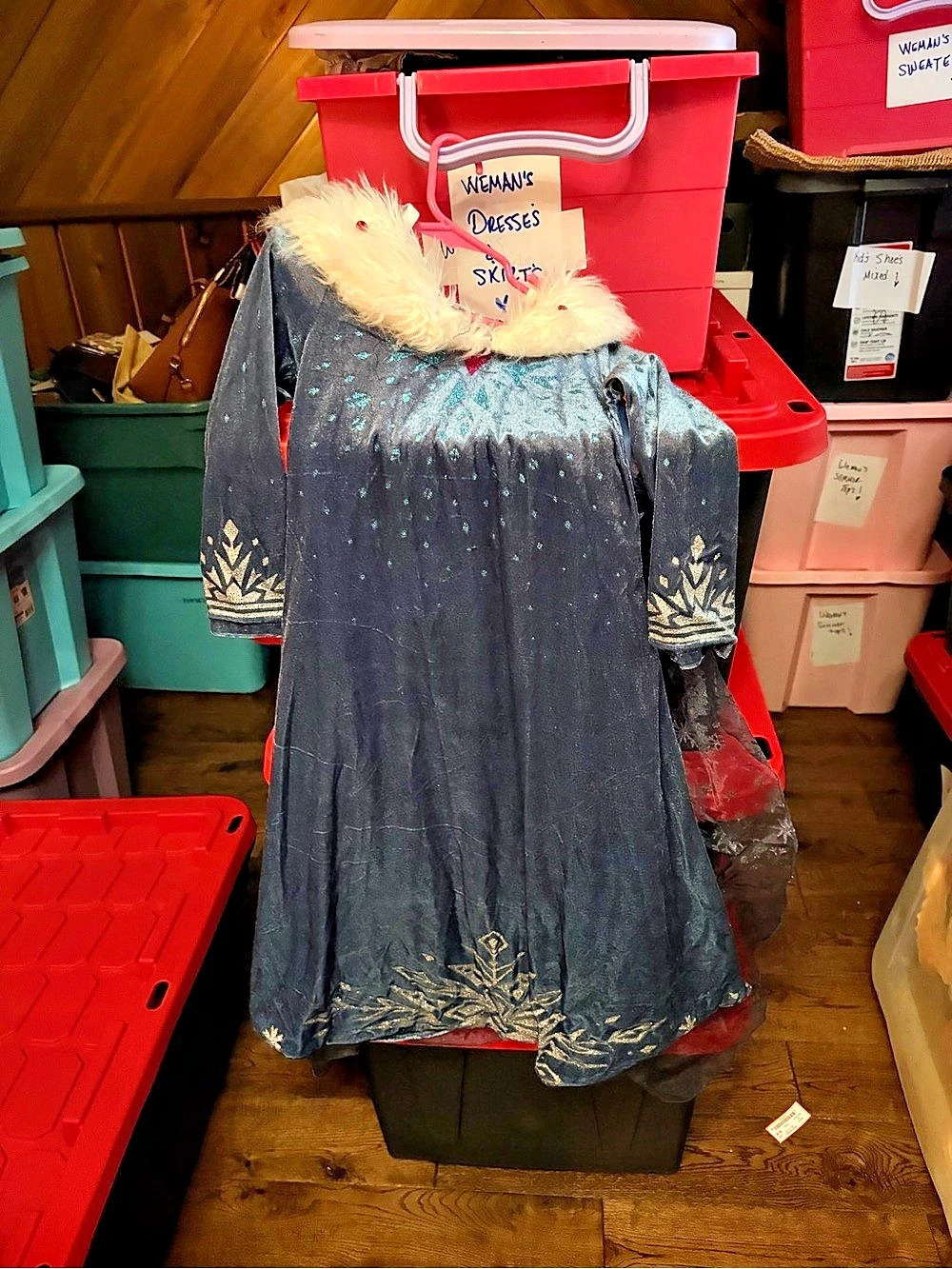 Elsa Frozen costume